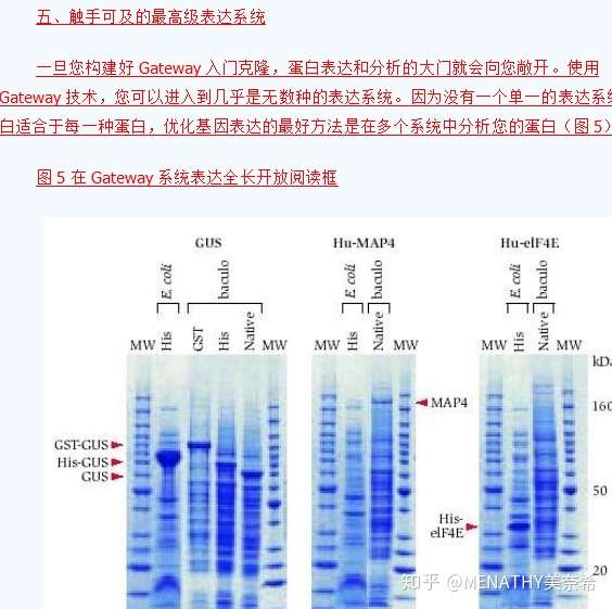 不懂gateway 都不好意思说自己学过分子 知乎