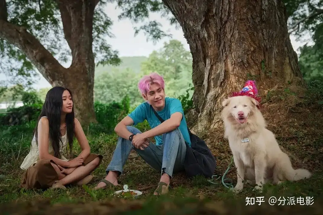 《心犬相随》现象级票房黑马，太好哭了