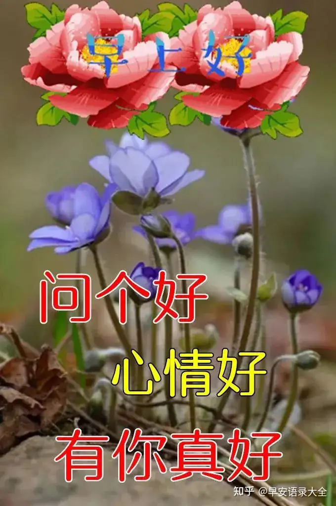 8张最新漂亮早上好图片鲜花带字带祝福语 2022最美春日早安问候祝福鲜花图片带字温馨
