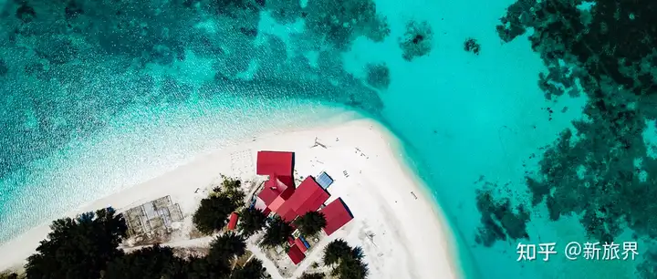 馋哭了！海外上市旅企Q1强势反弹：乐园收入翻倍、OTA订单量创新高