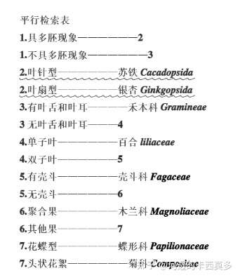 沙漠植物检索表图片