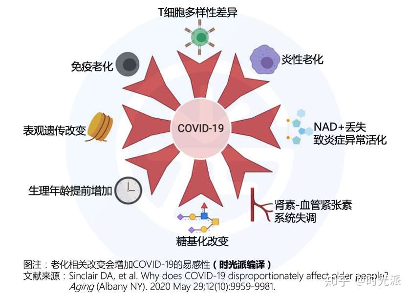 马斯克患 中度新冠 大卫辛克莱 或可通过衰老标志预测 二甲双胍干预 知乎