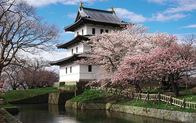 樱花季结束了 北海道的晚樱才刚刚开始 知乎