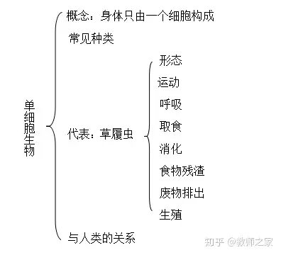 人教初中生物七年级上册单细胞生物公开课优质课课件教案视频
