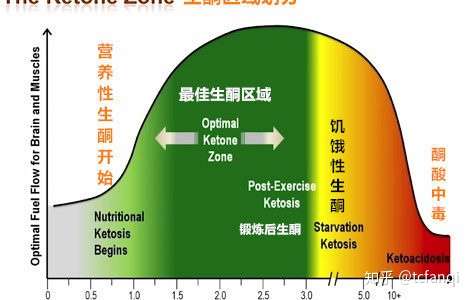 至于好几位答主担心的酮酸中毒问题,医学定义的酮症酸中毒是身体的血