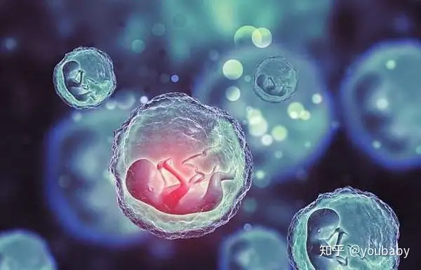 广州助孕医院（做试管婴儿会对女性的身体造成什么危害？可能有这4个危害！）