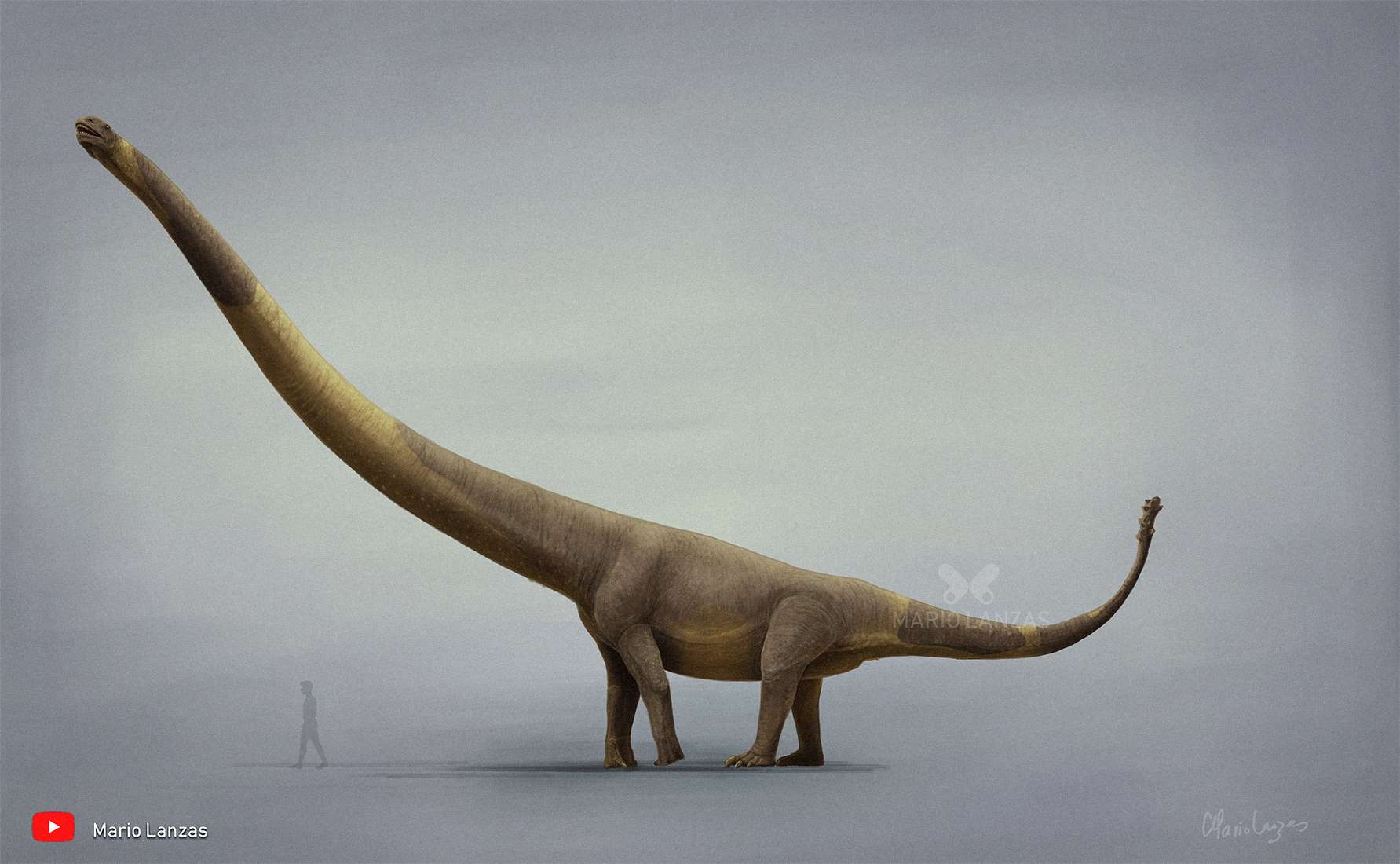 巨型中华丽羽龙 的想法: #恐龙 #古生物 复原图: 新疆巨龙(xinji