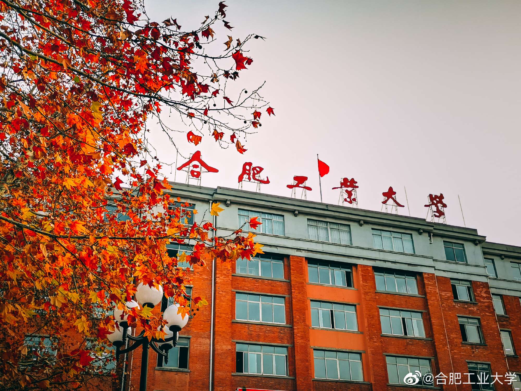 张嘉昊机器人专业在读本科生