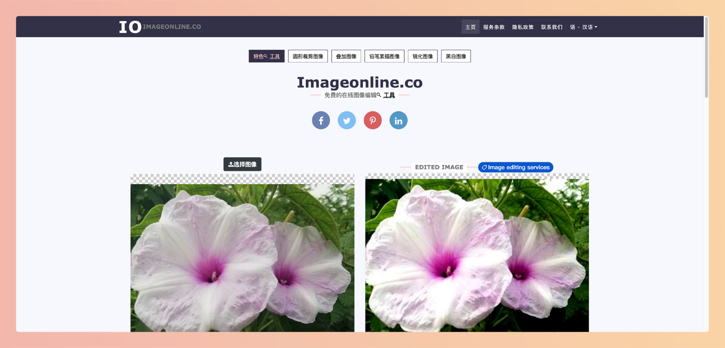 Image Online：一款免费的在线图像编辑器，提供超过100种图片编辑和转换工具，支持多种编辑功能，如锐化、模糊、黑白转换等