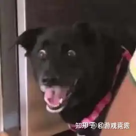 飞机杯评测扫盲贴：关于飞机杯、名器、倒模的区别和推荐