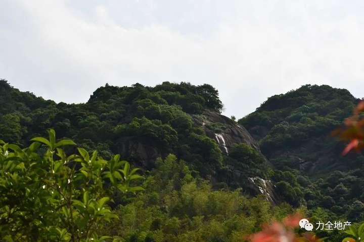 力全团建|千年禅文化，万绿西九华(图5)