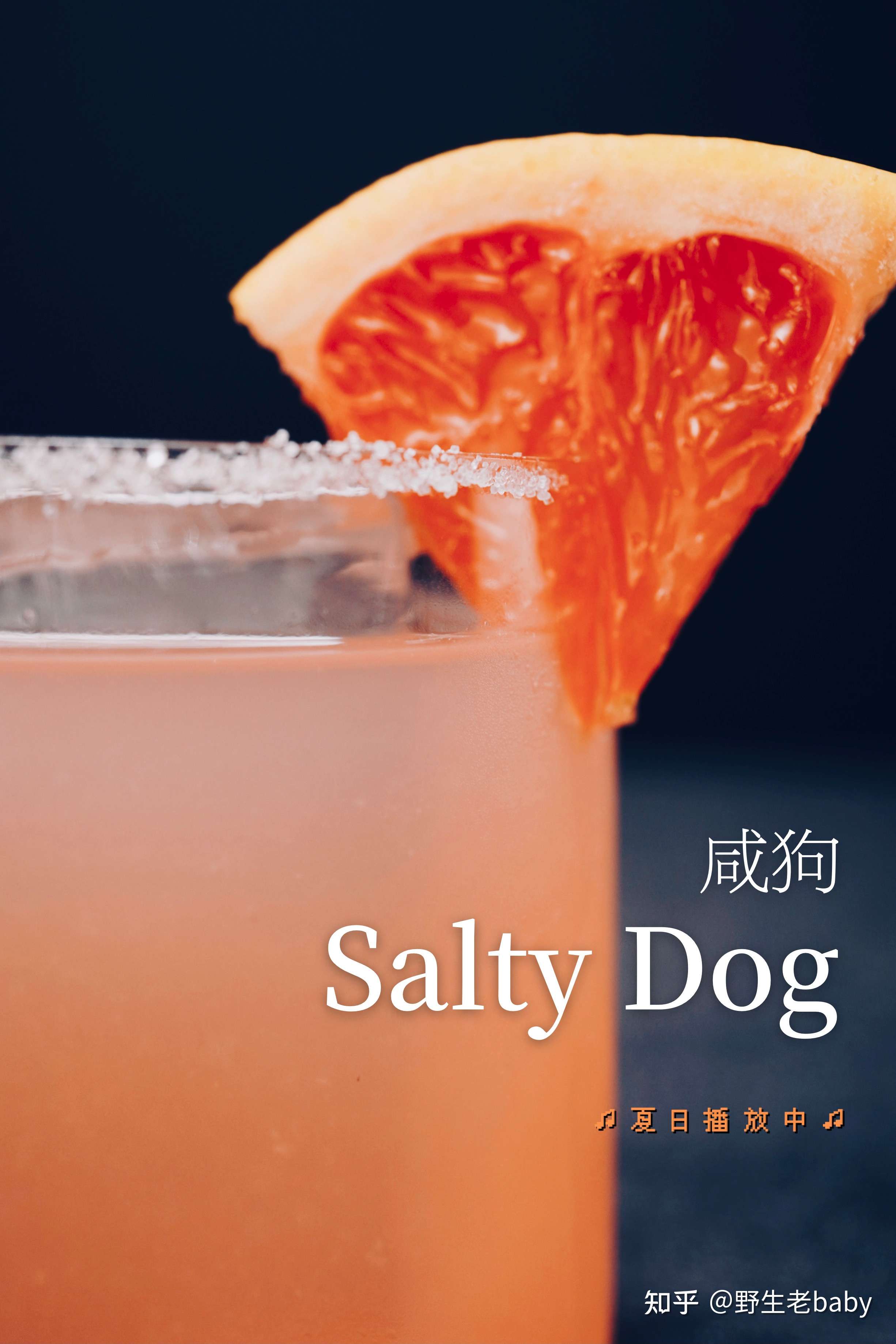 野生老baby 的想法 今日预告:咸狗|salty dog「咸狗」最初 知乎