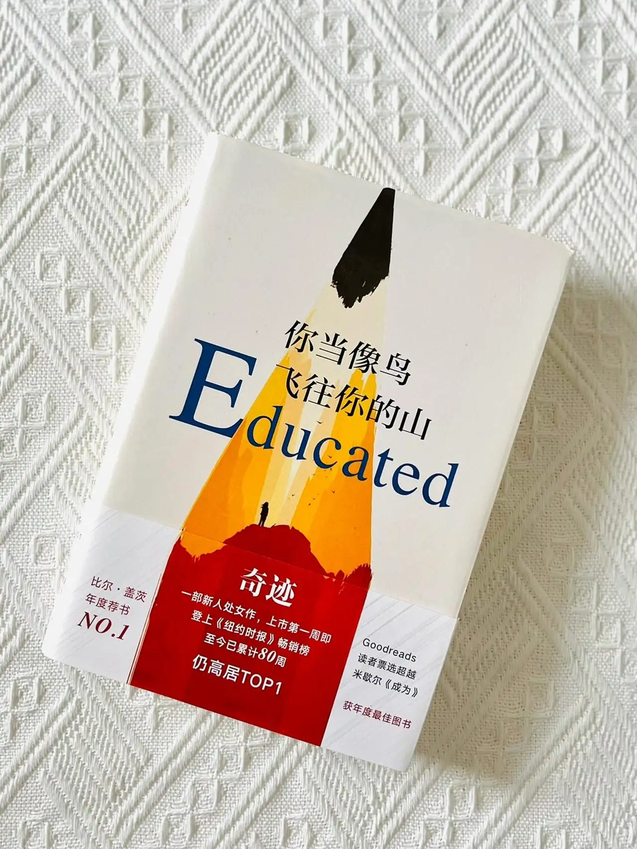 哪部文学作品曾帮助女性在原生家庭与社会偏见中实现精神突围？