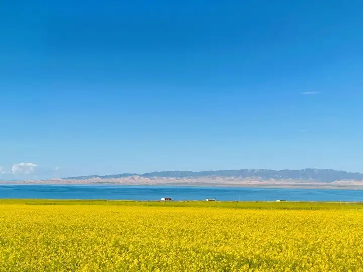 青海湖海拔高度多少（青海湖简介）