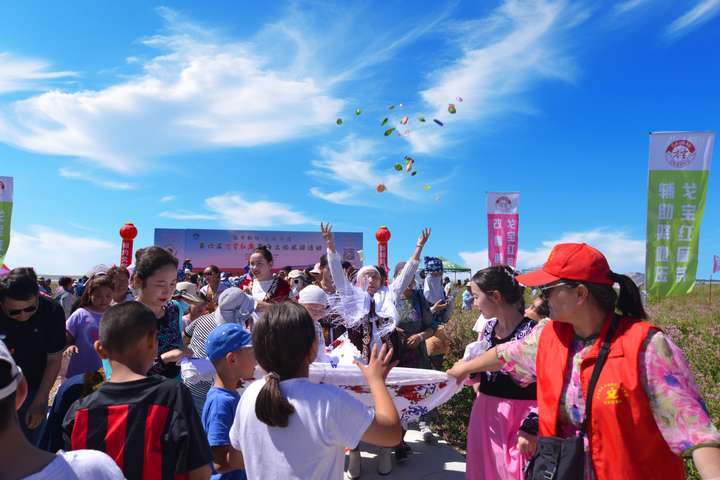 戈宝红麻花海景区爆火，游客涌入阿勒泰最美花海