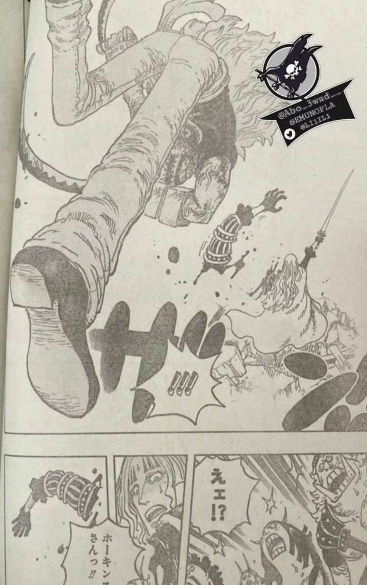 如何评价《海贼王》漫画 1029 话情报?