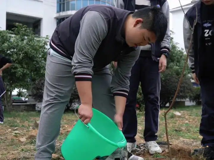 “植”此青绿 润育桃李丨富阳校区开展植树节主题活动(图7)
