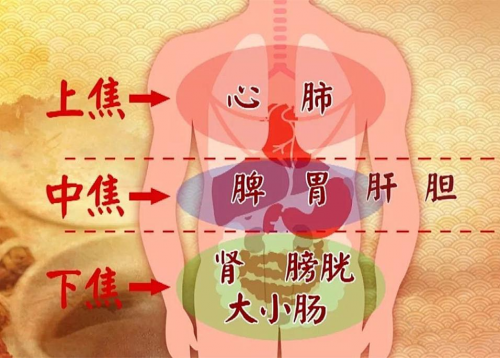 梁世界：掌握“湿毒论”精髓的中医肠胃病大夫