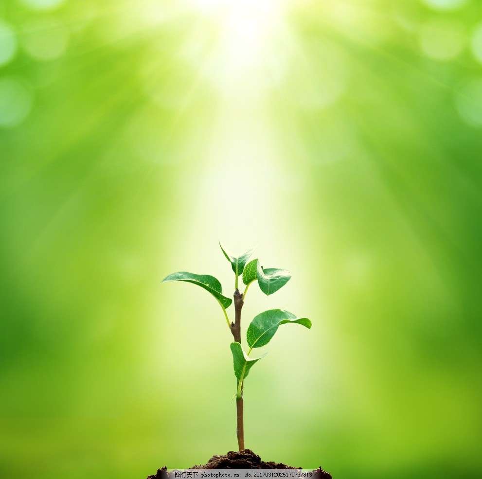 九戒之歌 的想法: 今天是个好日子,是我重生的一天, 我不… - 知乎