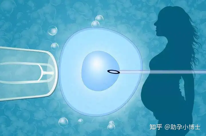 试管供卵会不会排异（怎么判断自己是否需要做试管助孕？）