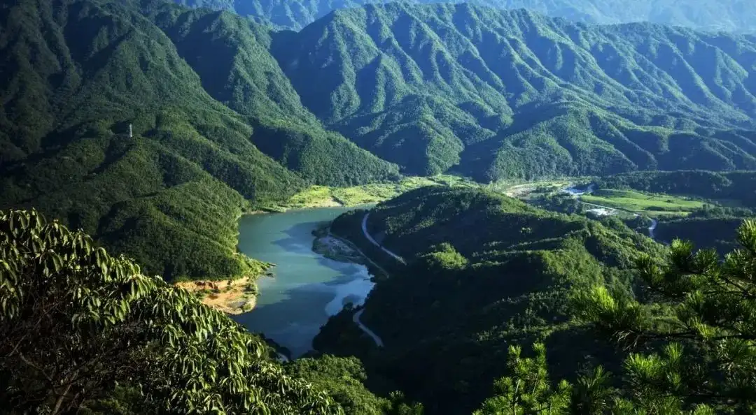 佳酿天成映日月美酒流芳造乾坤| 看柳林酒如何诠释一坛好酒的酿造密码- 知乎