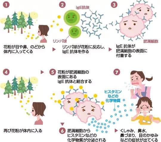 我在日本得了花粉症 不知道原因 知乎