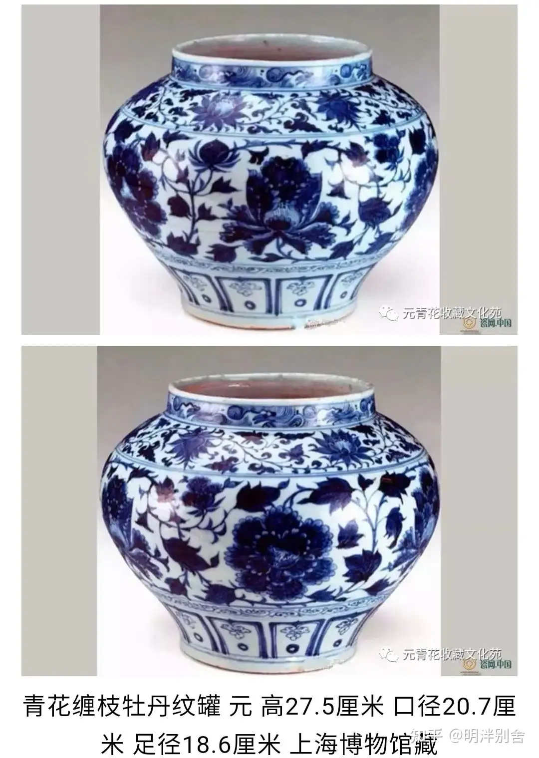 美術品/アンティーク中国　青花　花卉魚藻文瓶　壷　C　R5596C