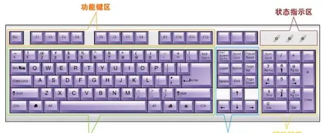 电脑教学入门教程（电脑基础知识教程自学）