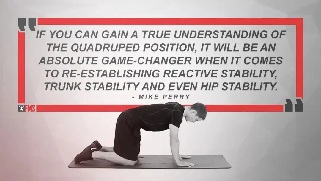 深入了解 四点撑地姿势必须注意的几个细节 知乎