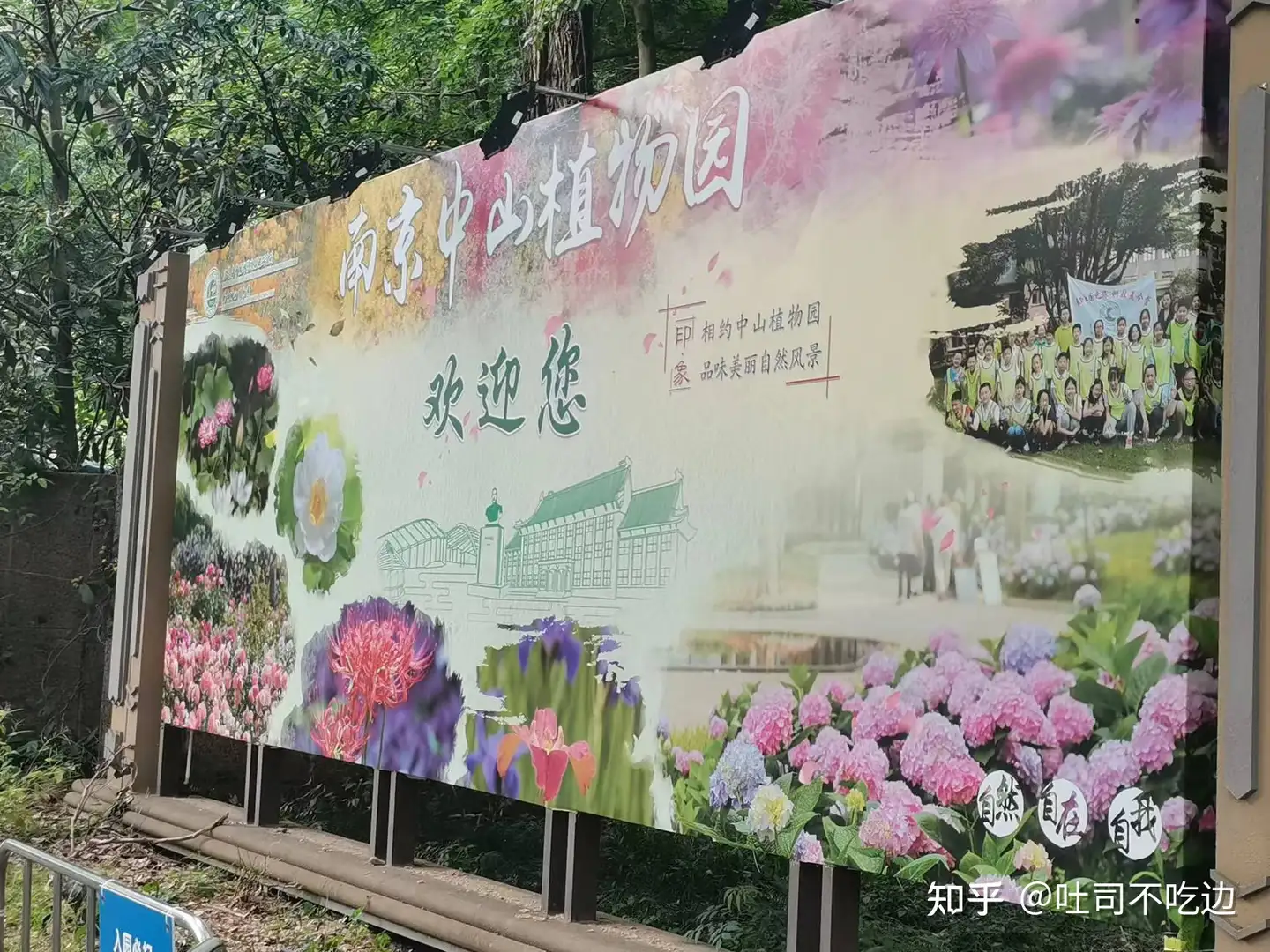 游记 南京中山植物园 知乎