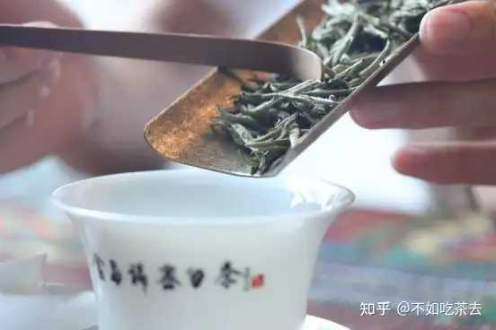 白毫银针为什么能成为白茶中顶级品类？ - 知乎