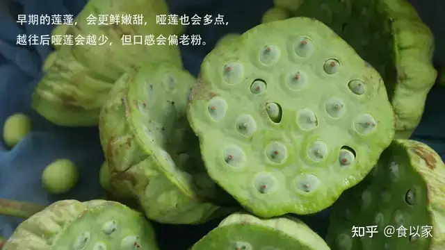 吃新鲜莲子，不要丢弃它，活血化瘀，女人最适合（吃新鲜的莲子有什么好处和坏处）