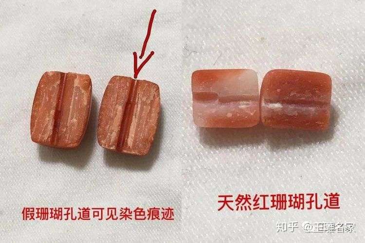 真假红珊瑚比较图 天然红珊瑚真假对照图 知乎