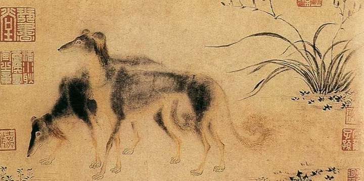 古代皇帝狩猎时一般带的都是什么品种的狗?