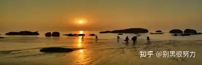 疫情间回味和计划放肆的吃喝玩乐厦门海岛旅游
