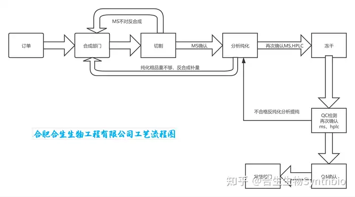 图片[1]-多肽合成步骤及原理-Hypeptide