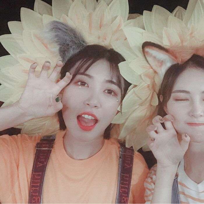 许佳琪和戴萌你更喜欢谁?