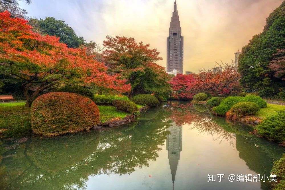 日本枫叶季 这套穿搭让你拍出不落俗的照片 知乎