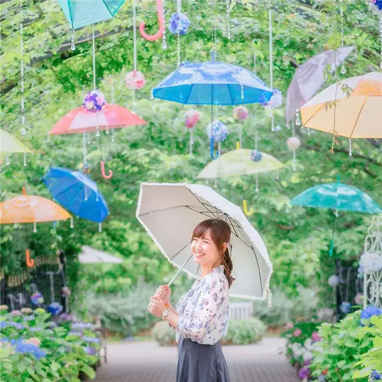 绣球花 萤火虫 风铃祭 雨伞天空 在日本の盛夏赴一场清新之约 知乎