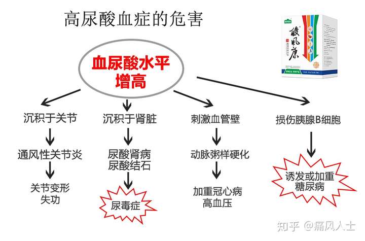 血尿酸增高不单单会造成痛风!