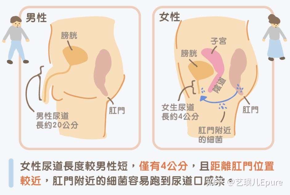 健康i女性2大私密处感染 还有救 知乎