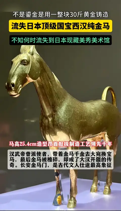 黄沙古渡的想法: 不是鎏金是用一整块30斤黄金铸造，流失日本顶级国宝
