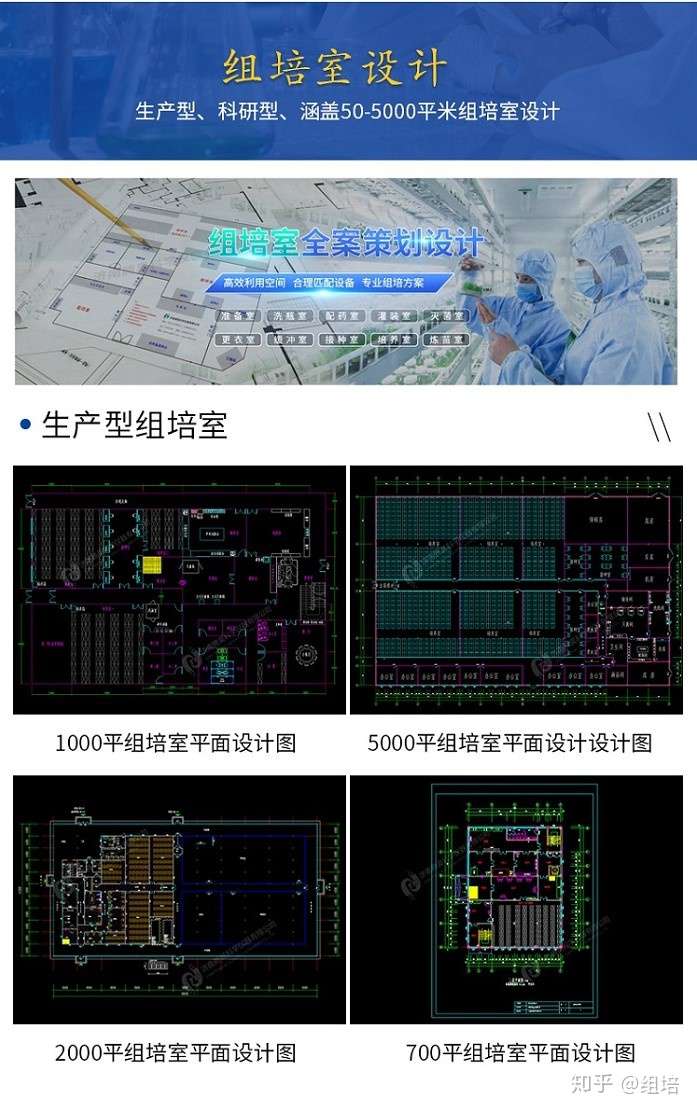 组织培养的定义 培养步骤和组培苗的驯化移栽 知乎