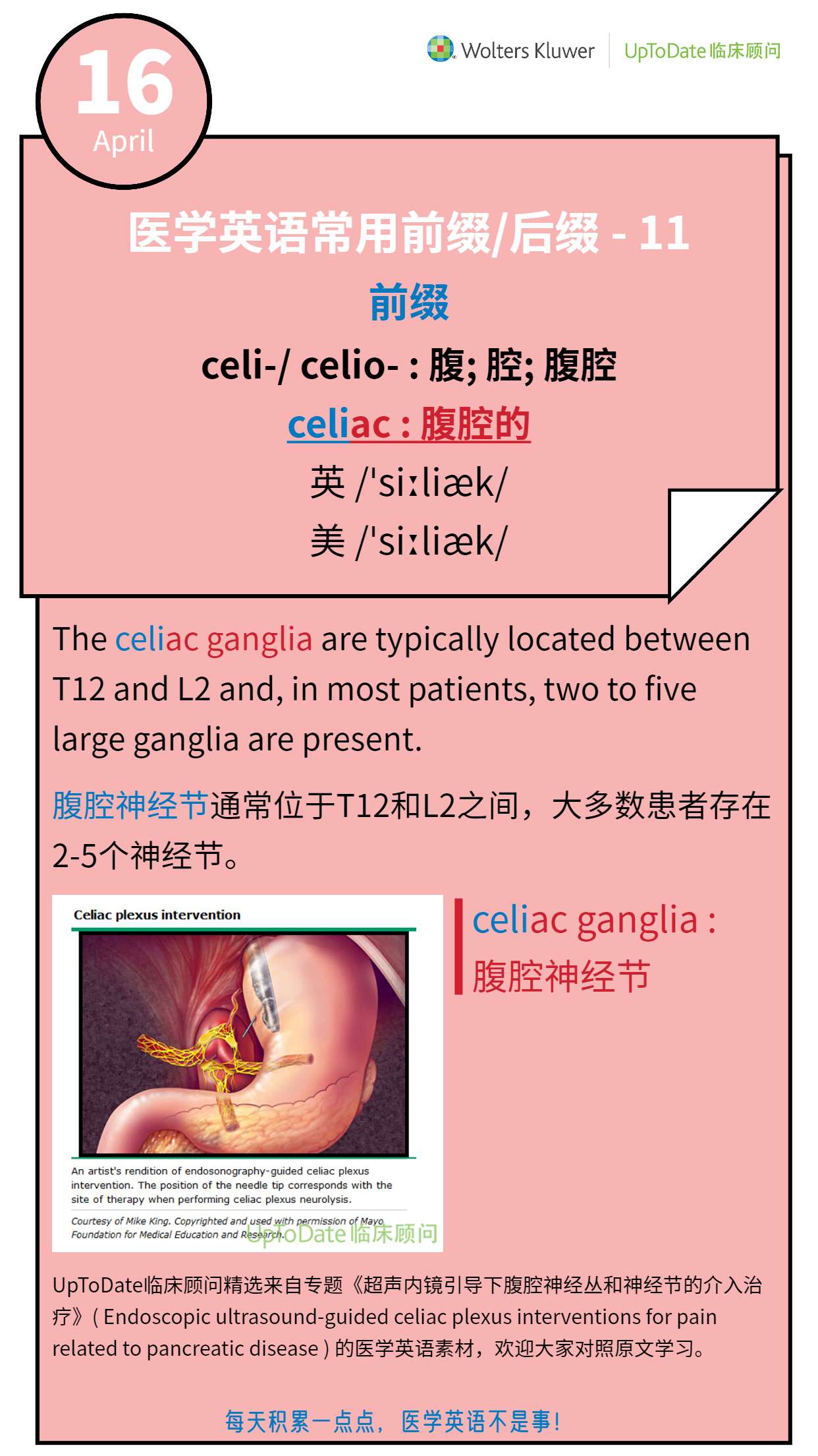 医学英语打卡 4 16 前缀celi Celio 知乎