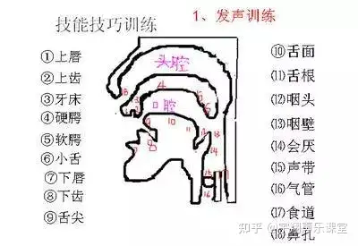 音程,音阶一方面是肌肉,音准,气息共鸣等方面的技术练习,同时它们又都