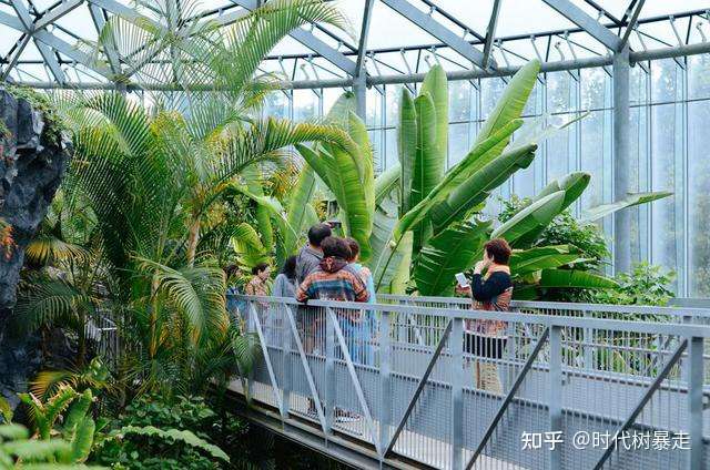 新宿御苑植物园 各种植物都能看得到 漂亮极了 知乎