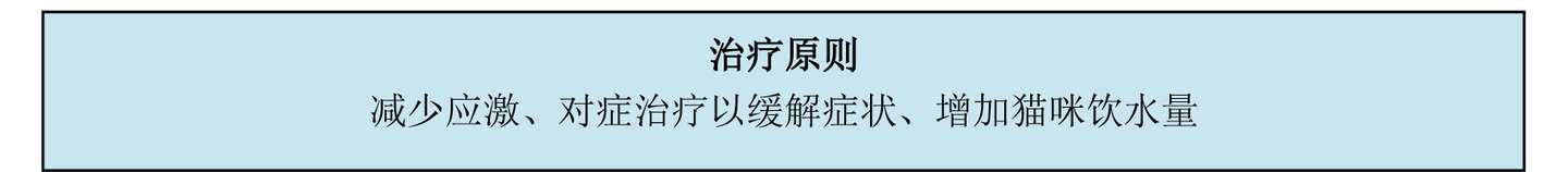 猫咪常见病系列之u2014u2014猫自发性膀胱炎（诊断治疗篇） - 知乎