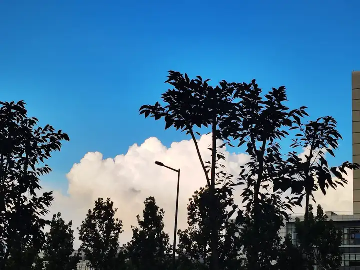 合肥是个宜居城市吗?