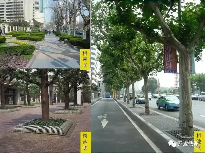 详解|城市道路绿地景观设计