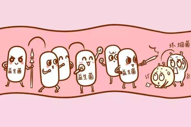 益生菌什么牌子好啊?求推荐?益生菌可以减肥吗?插图19 益生菌什么牌子好啊?求推荐?益生菌可以减肥吗?插图19